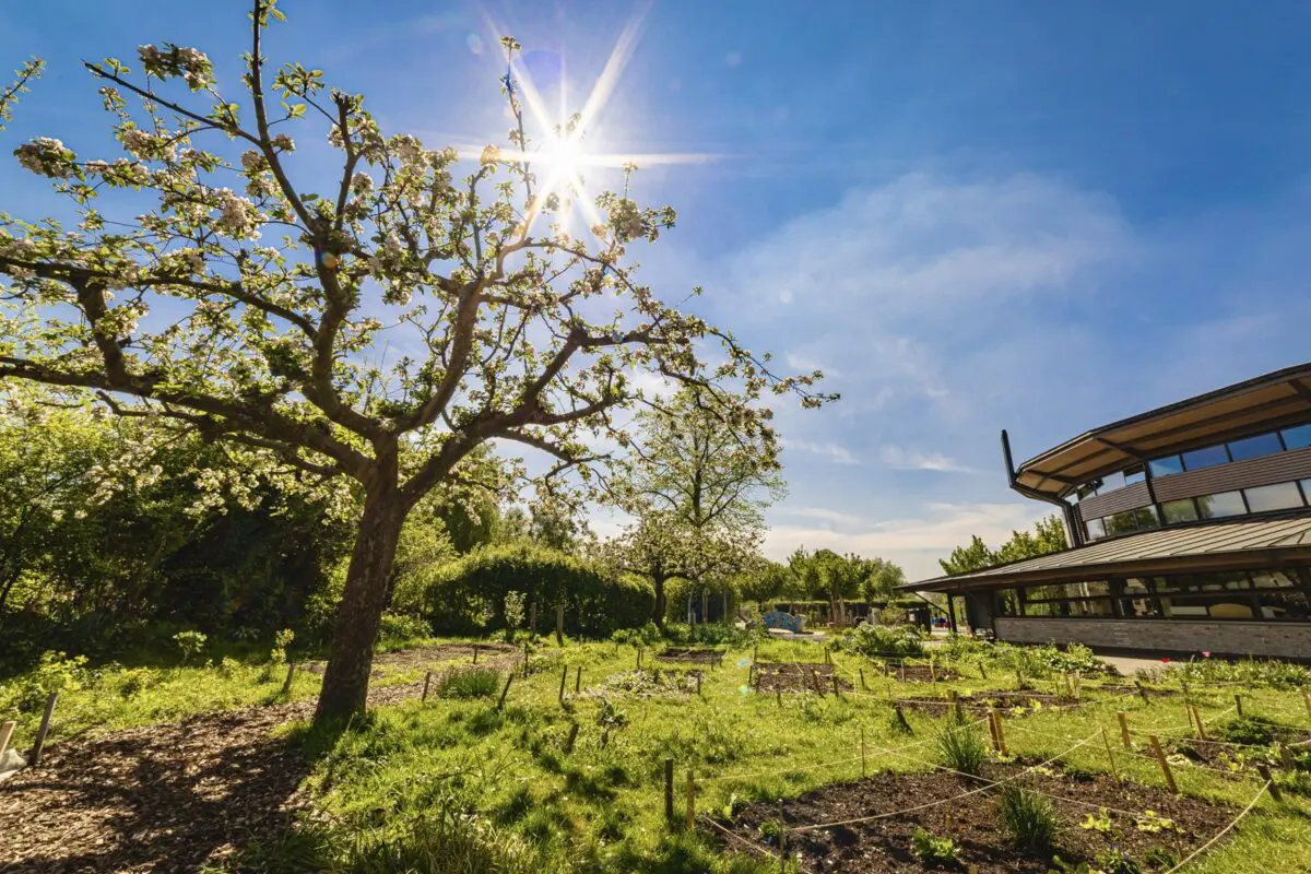 Griftsteede moestuin en gebouw