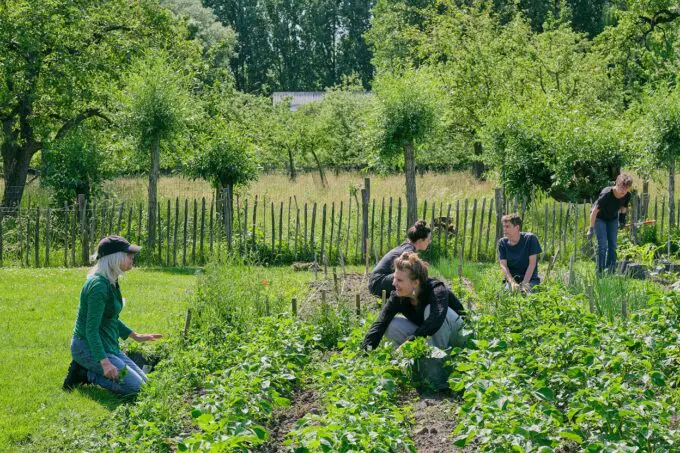 Mensen in de groene moestuin op Koppelsteede