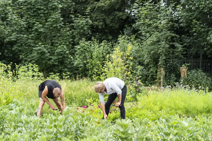 Twee mensen gebukt in de moestuin aan het werk