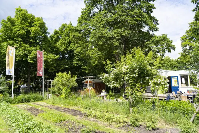 Stadstuin food for good