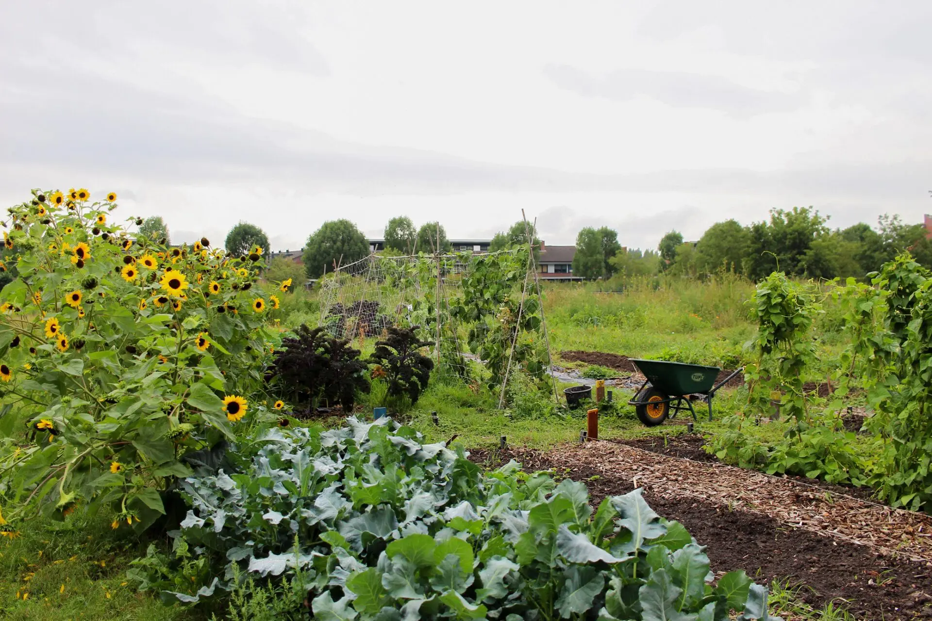 kruiwagen op de tuin kasteeltuin nijevelt
