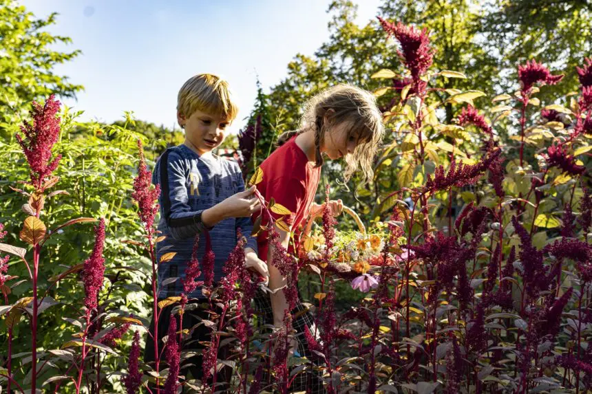 Kinderen in de bloemenpluktuin van eilandsteede