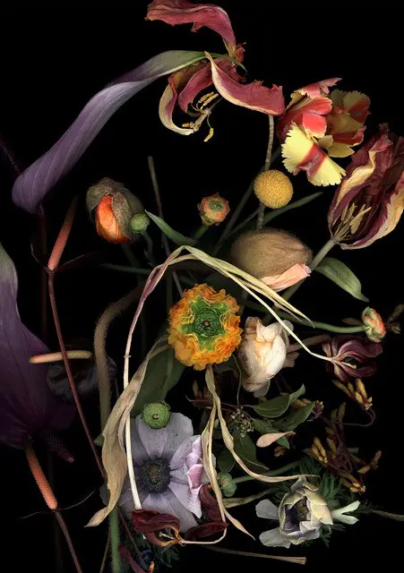 Workshop Metamorfose als Kunst - door BlauwLicht