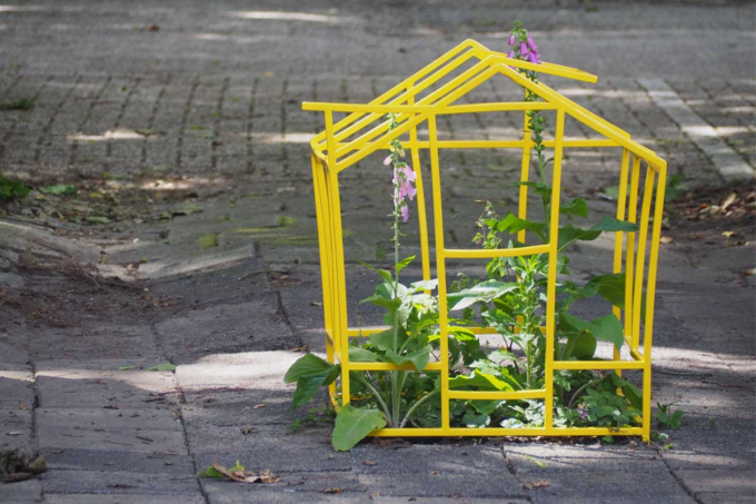 Natuurvrijplaats geel stalen huisje rechten voor de natuur