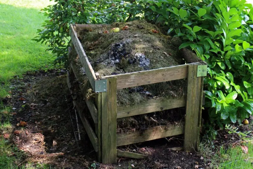 Houten compostbak vol met compost.
