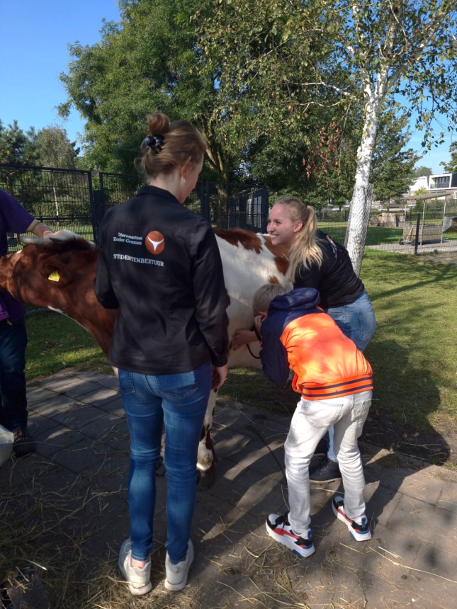 Dierenartsen zonder grenzen