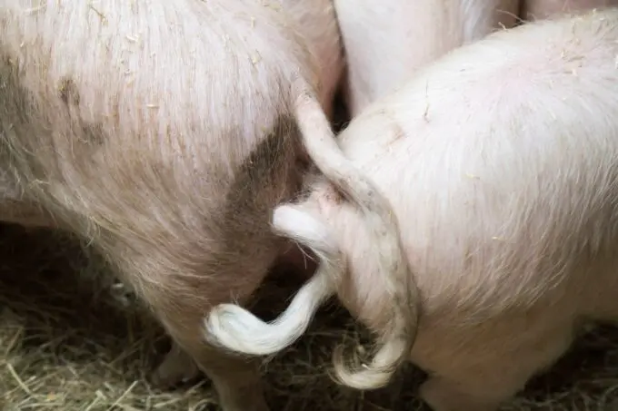 Workshop Reportagefotografie - BlauwLicht