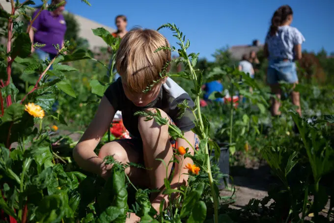 Kind in de schooltuin van Utrecht Natuurlijk bij Steede Hoge Woerd