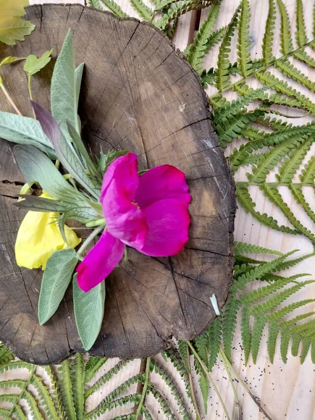 collage met natuurlijke materialen