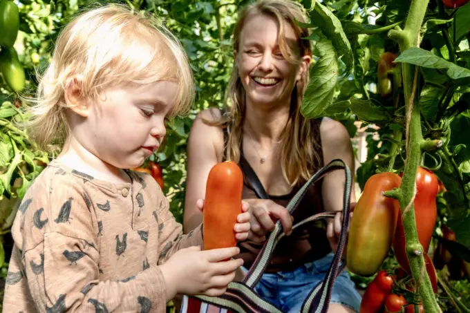 Moeder en kind samen op ontdekking in de moestuin bij de tomaten