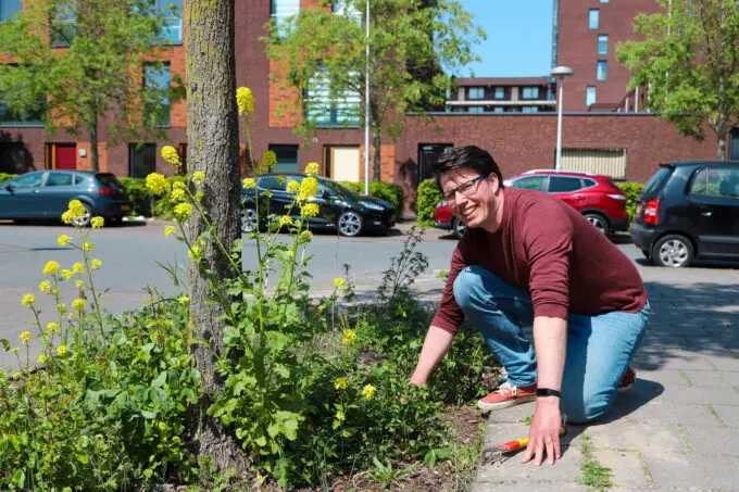 Zelfbeheerder Mike die een boomspiegel vergroent