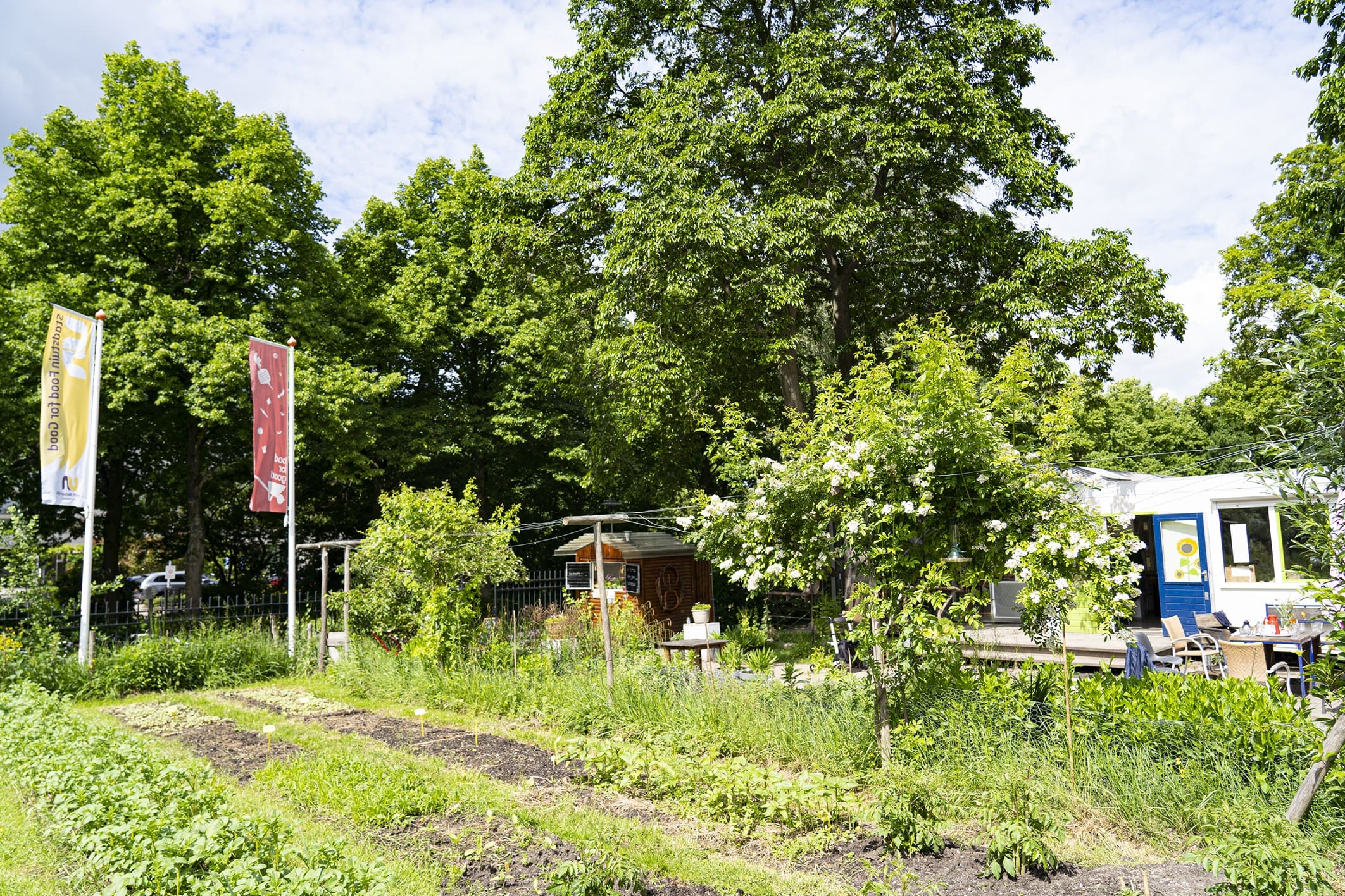 Stadstuin Food for Good