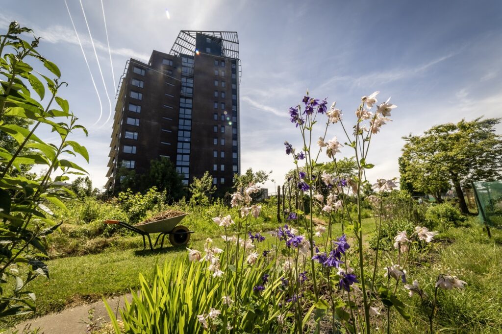 Stadstuin kanaalweg met bloemen en flatgebouw