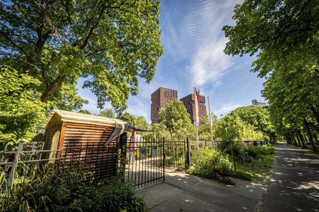 Stadstuin Food for Good in het groen