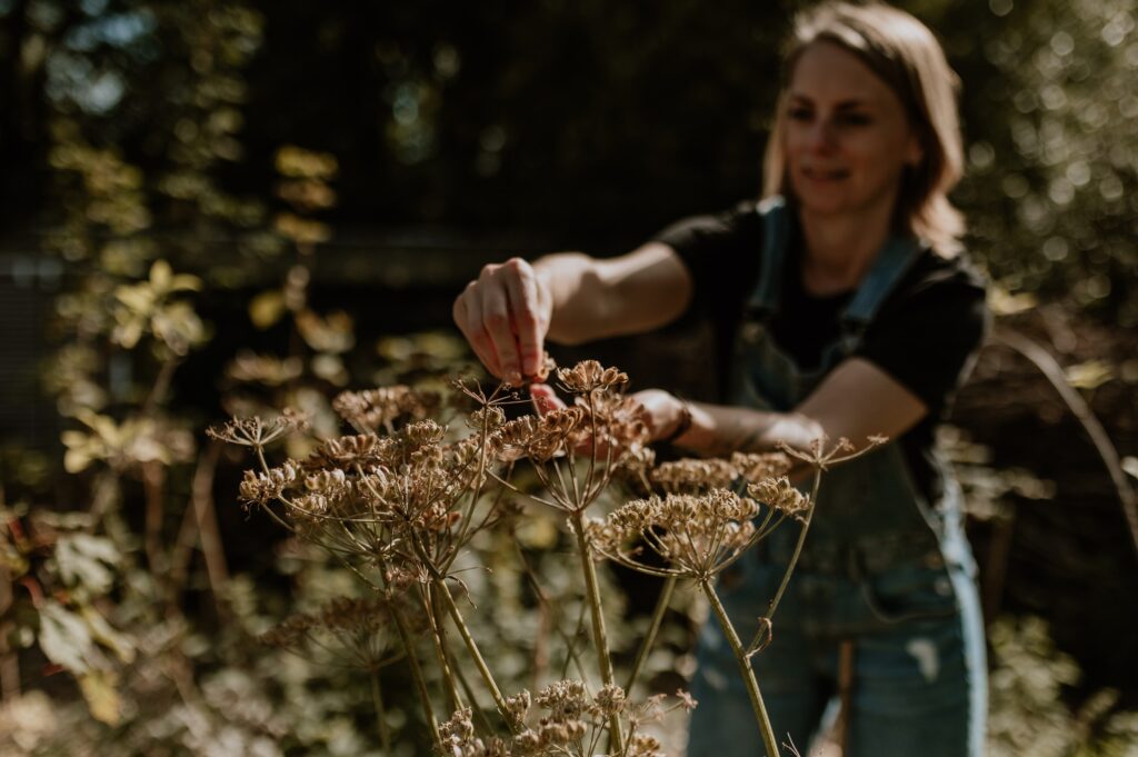 Bosbloeiers in Voedselbos op Stadstuin Kanaalweg