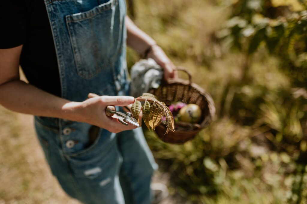 Bosbloeiers voedseltuin Stadstuin Kanaalweg