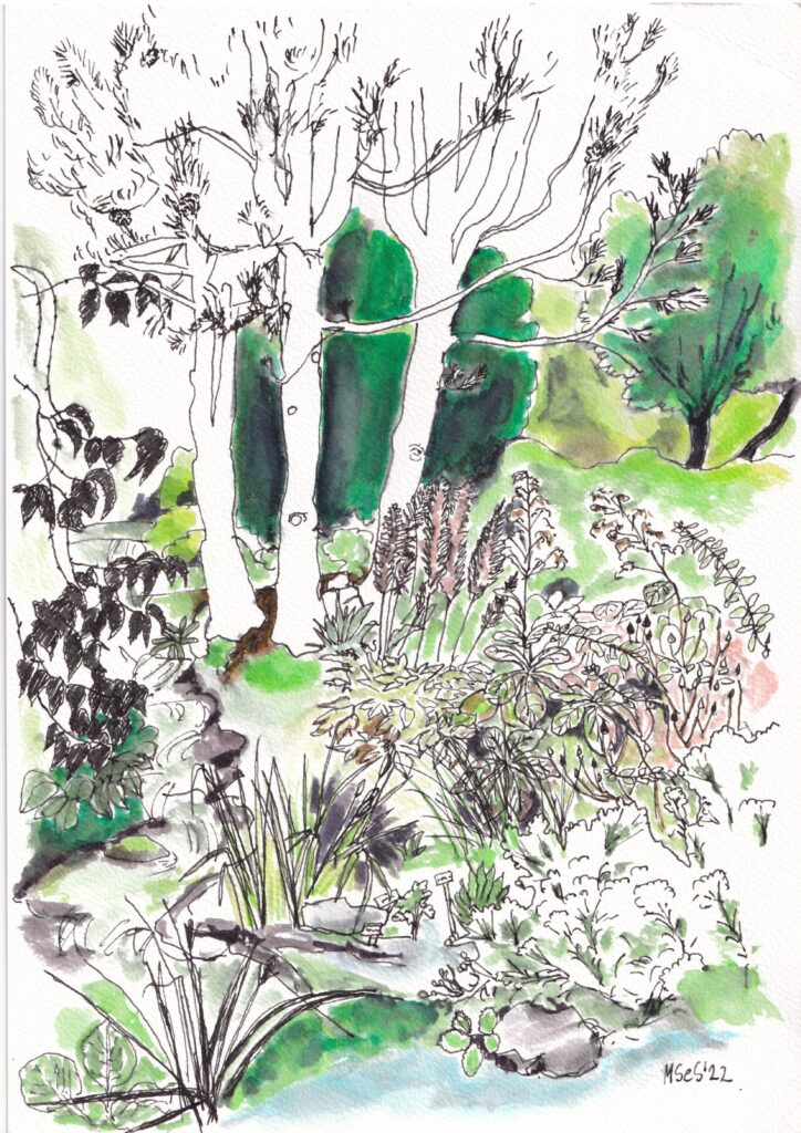 botanische tuinen - aquarel door marina soares e silva