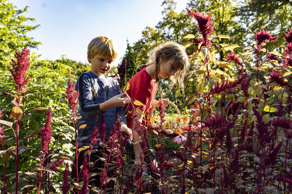 Kinderen in de bloemenpluktuin van eilandsteede